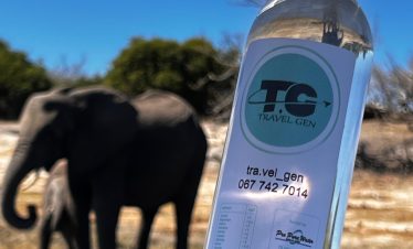 elephants with travel gen
