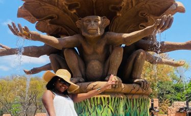 monkey entrance in sun city