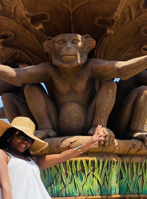 monkey entrance in sun city