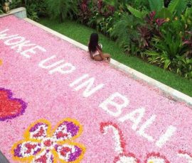 wake up in Bali swimming with travel gen