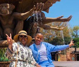 entrance in sun city