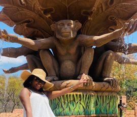 monkey entrance in sun city